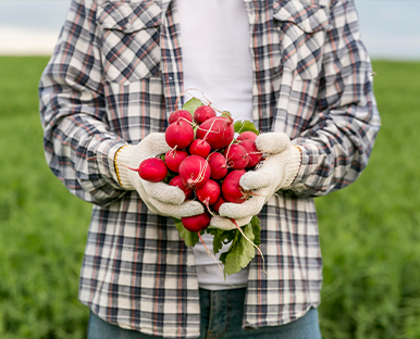 Kalite ve Güven İlkesi