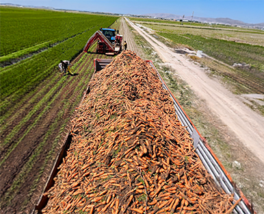 Modern Teknoloji Kullanımı